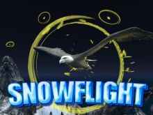 Ảnh minh họa trò chơi Snowflight